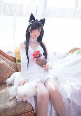 ck7788视频在线观看_4K免费电视剧